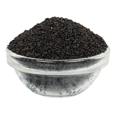 Premium wholesale Tulsi Beej basil seeds sortex clean Neemuch Manish Enterprises